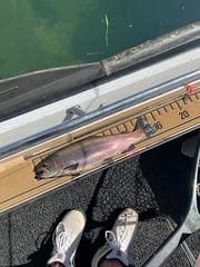 Fishing in Heber Springs, Arkansas