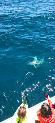 Fishing in Destin, Florida