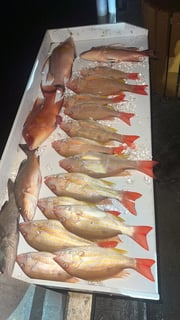 Fishing in Bradenton Beach, Florida