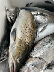 Fishing in Kenosha, Wisconsin