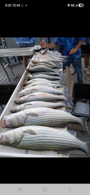 Fishing in Kingston, Oklahoma