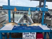 Fishing in Galveston, Texas
