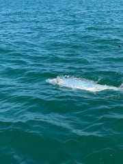 Fishing in Bradenton, Florida