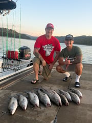 Fishing in Rogers, Arkansas
