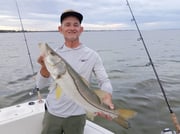 Fishing in Sebastian, Florida