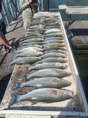 Fishing in Kingston, Oklahoma