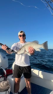 Fishing in Islamorada, Florida