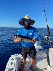 Fishing in Stuart, Florida