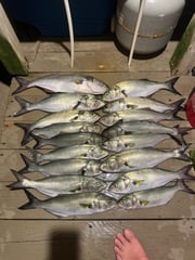 Fishing in Avon, North Carolina