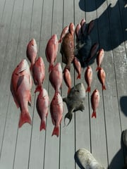 Fishing in Panama City, Florida