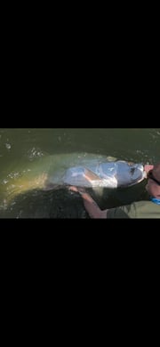 Fishing in Carolina, Puerto Rico