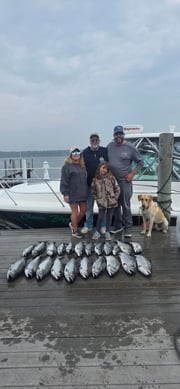 Fishing in Newaygo, Michigan
