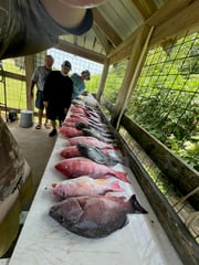 Fishing in Venice, Louisiana