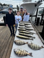 Fishing in Bokeelia, Florida