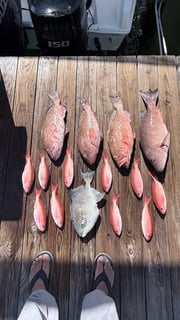 Fishing in Panama City, Florida