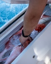 Fishing in Port Aransas, Texas