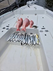 Fishing in Pensacola, Florida