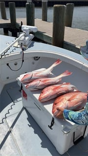 Fishing in Gulf Shores, Alabama