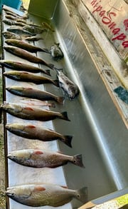 Fishing in D'Iberville, Mississippi