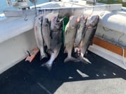Fishing in Waukegan, Illinois