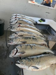 Fishing in Garibaldi, Oregon