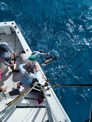 Fishing in Marathon, Florida