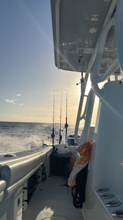 Fishing in Marco Island, Florida