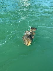 Fishing in Ramrod Key, Florida