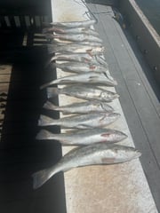 Fishing in Rockport, Texas