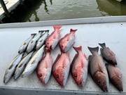 Fishing in Gulf Shores, Alabama