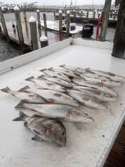 Fishing in Gulf Shores, Alabama