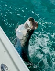 Fishing in Key West, Florida