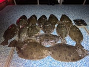 Fishing in Galveston, Texas