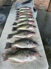 Fishing in Oxford, Mississippi