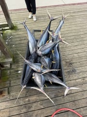 Fishing in Venice, Louisiana