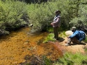 Fishing in Bishop, California