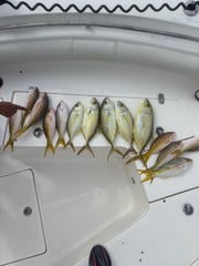 Fishing in Key Largo, Florida