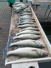 Fishing in Kingston, Oklahoma