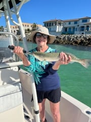 Fishing in Sarasota, Florida