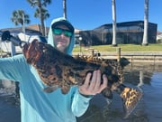 Fishing in Port Charlotte, Florida