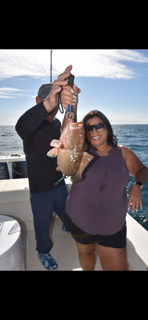 Fishing in Clearwater, Florida