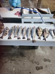 Fishing in Port Aransas, Texas