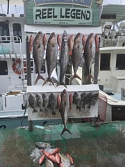 Fishing in Destin, Florida