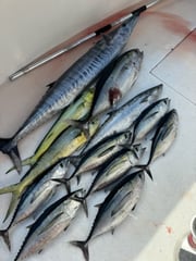 Fishing in Pompano Beach, Florida