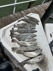 Fishing in Marco Island, Florida