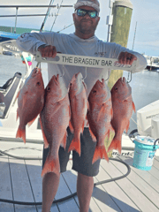 Fishing in Placida, Florida