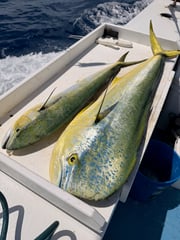Fishing in Key West, Florida