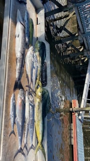 Fishing in Little River, South Carolina