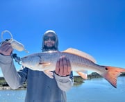 Redfish fishing in Mount Pleasant, South Carolina