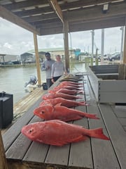 Fishing in Paragould, Arkansas